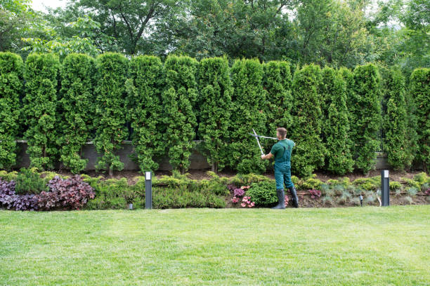 Lawn Drainage Solutions in Salem, OR